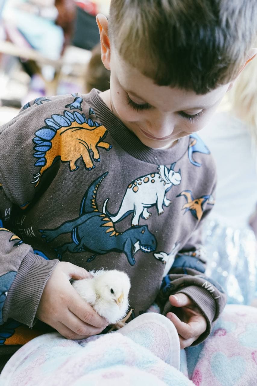 Carefully holding one of the newest hatch of chicks at Cuddle Corner