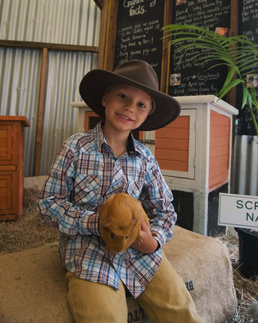 A Junior Ranger in his hat cuddling a guinea pig in front of the guinea pig facts board