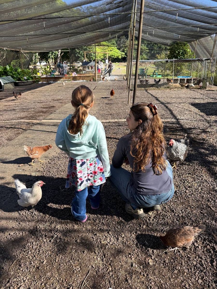 A child and an adult crouching among the free-ranging hens in the Fairhill poultry run