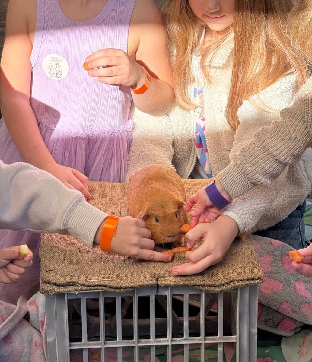 Child gently holding a guinea pig on the farm tour