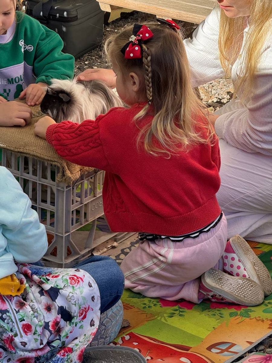 Child meeting a guinea pig on the farmyard tour