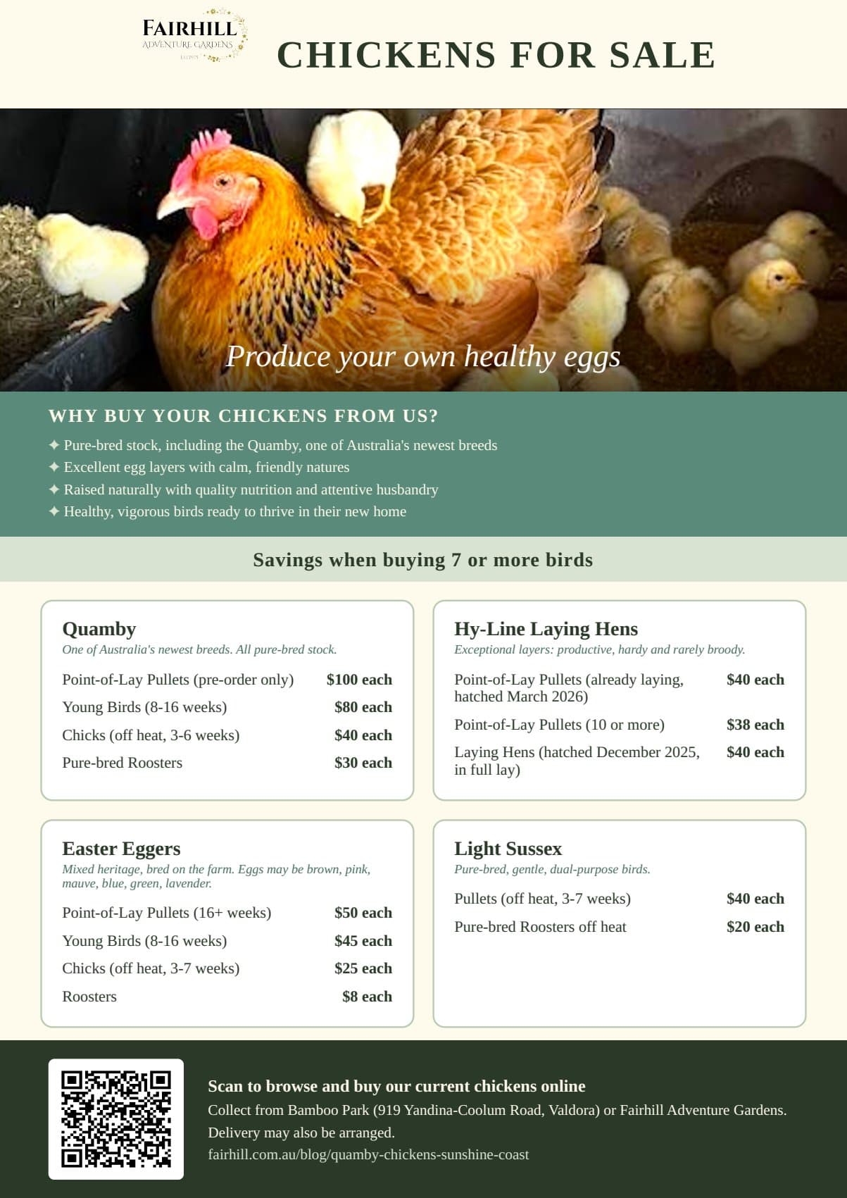 Fairhill Chickens for Sale poster with breeds, prices and collection details
