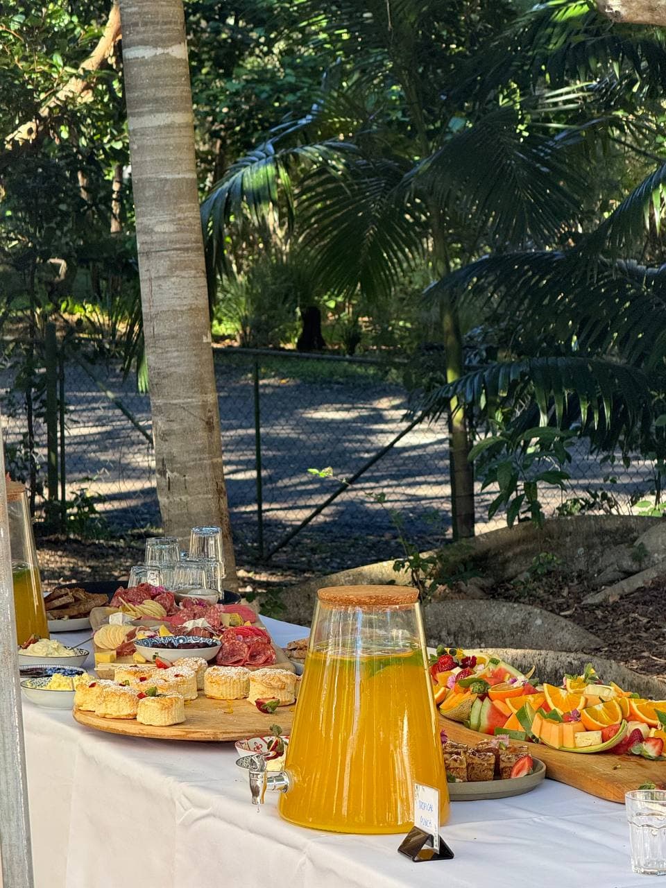 Baby shower grazing platters and fresh punch served in the gardens at Fairhill on the Sunshine Coast