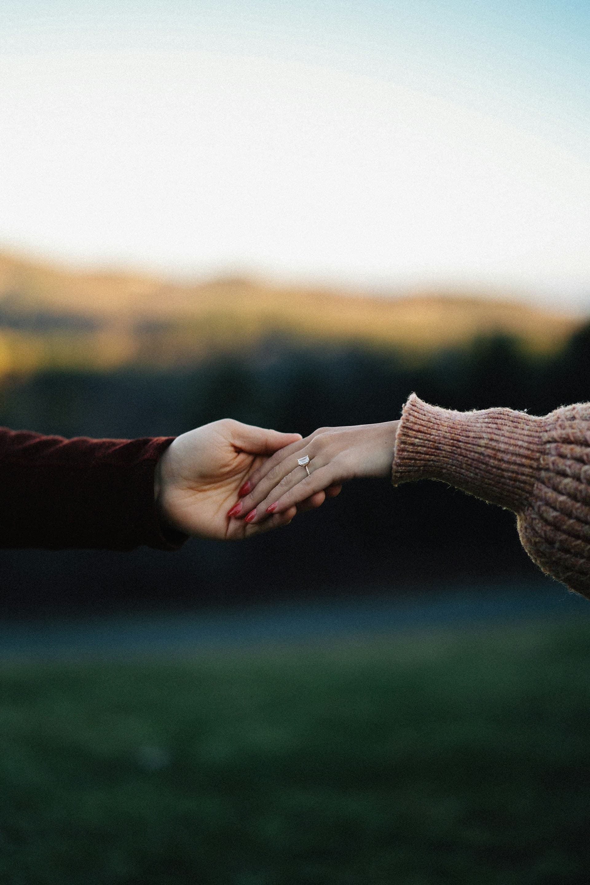 A couple celebrating at golden hour in the gardens