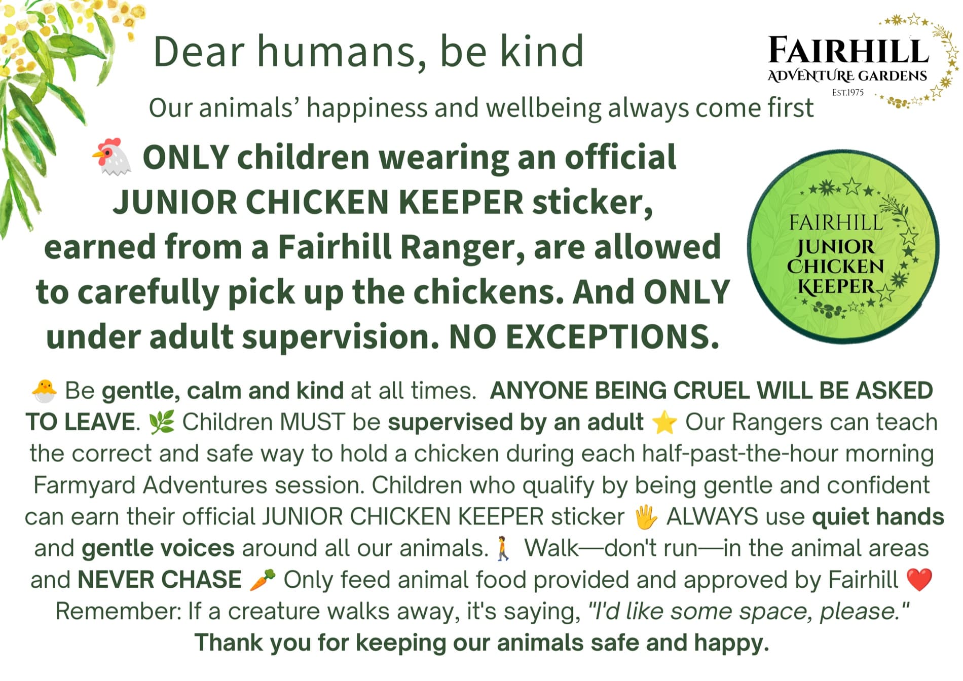Dear humans, be kind — Fairhill's Junior Chicken Keeper animal welfare guide: only children wearing an official Junior Chicken Keeper sticker, earned from a Fairhill Ranger and under adult supervision, may carefully pick up the chickens.