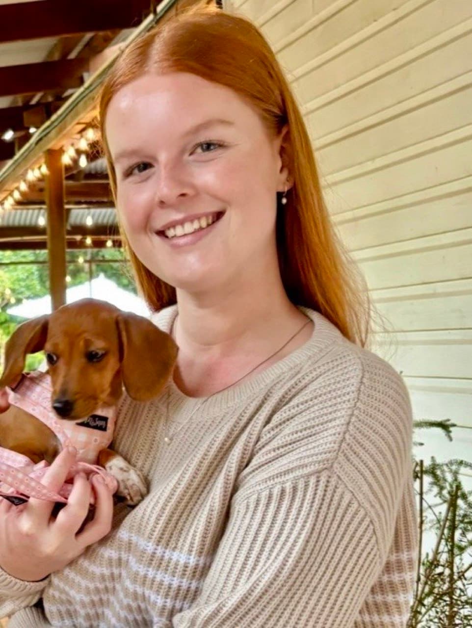 A dachshund puppy dressed up for a celebration at Fairhill