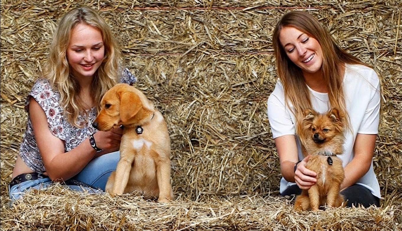 Three happy visitors with their puppies on the hay bales at Fairhill