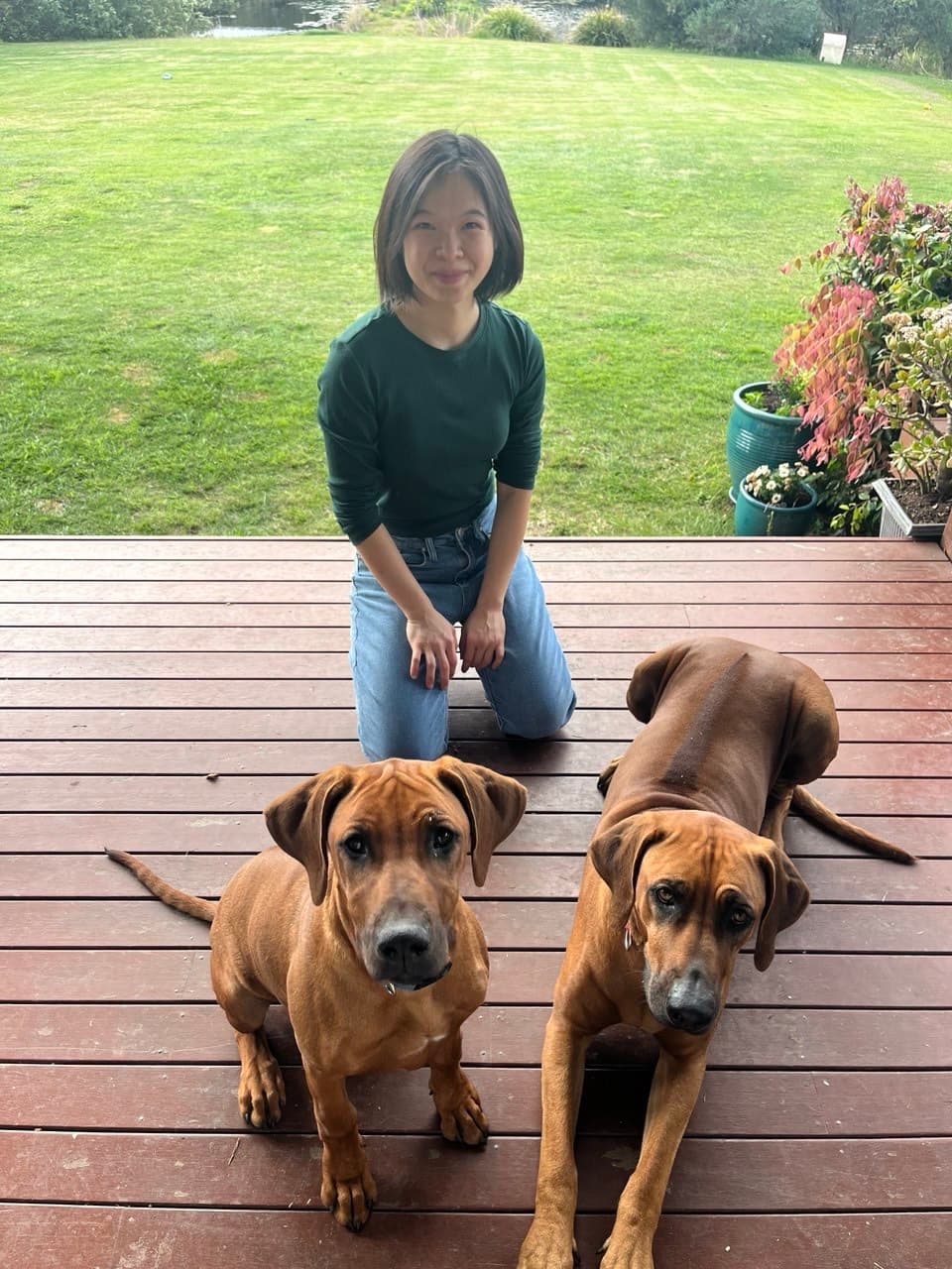 Two friendly ridgebacks relaxing with their owner in the gardens at Fairhill