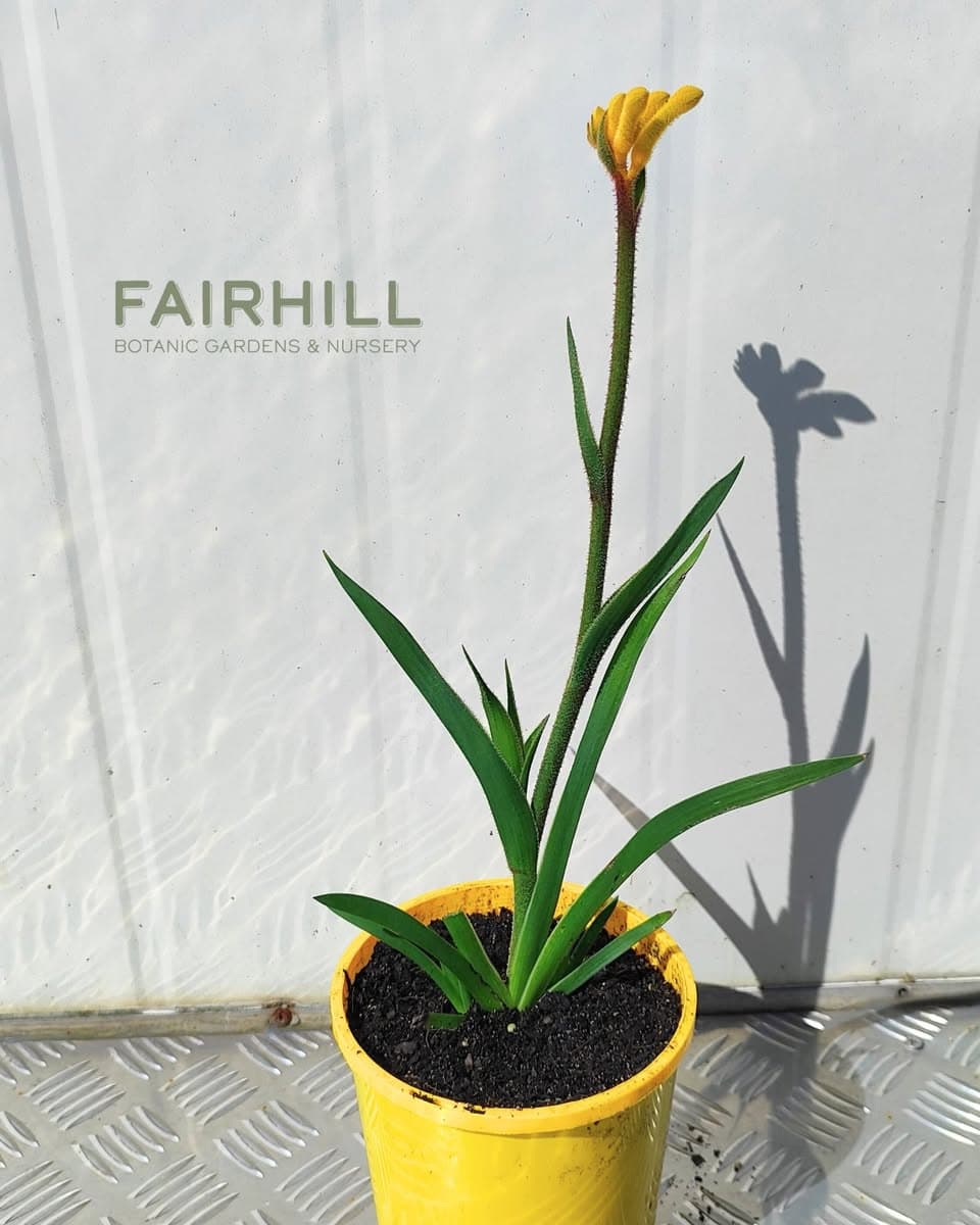 Garden Events