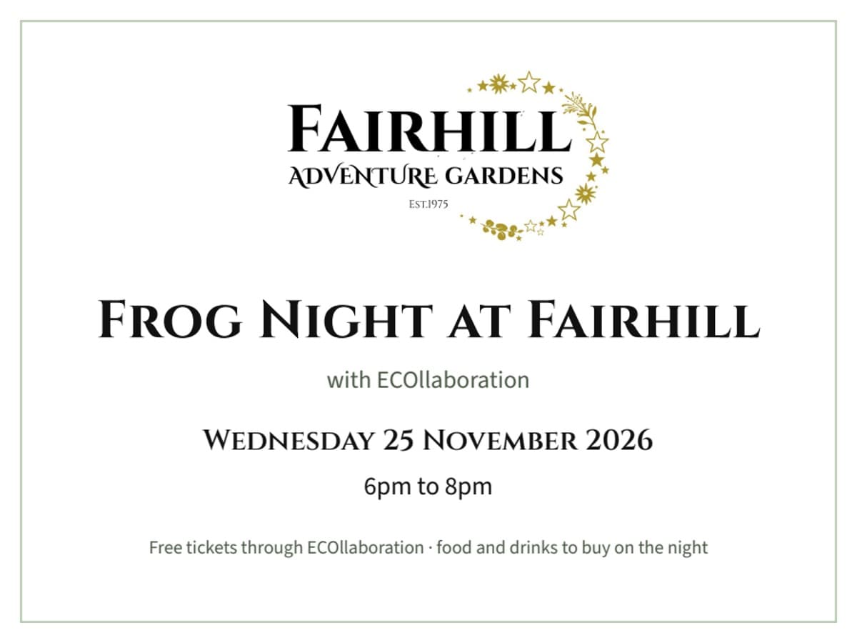 Frog Night at Fairhill with ECOllaboration, Wednesday 25 November 2026, 6pm to 8pm