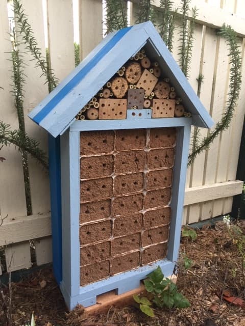 A blue banded bee house, a timber bee hotel filled with mud nesting bricks and bamboo tubes