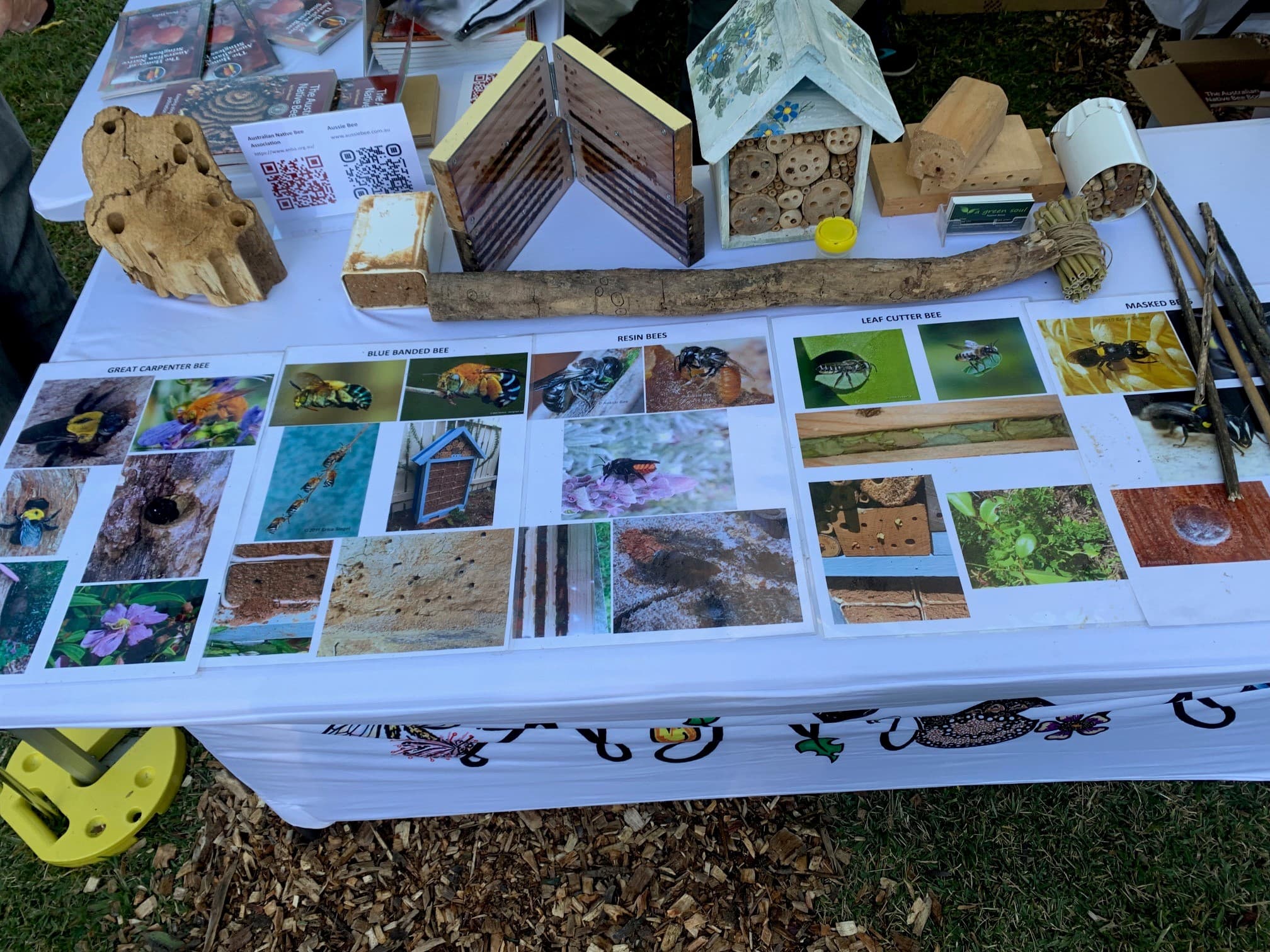 A Green Soul's native bee display table with species identification boards, bee hotels and nesting blocks