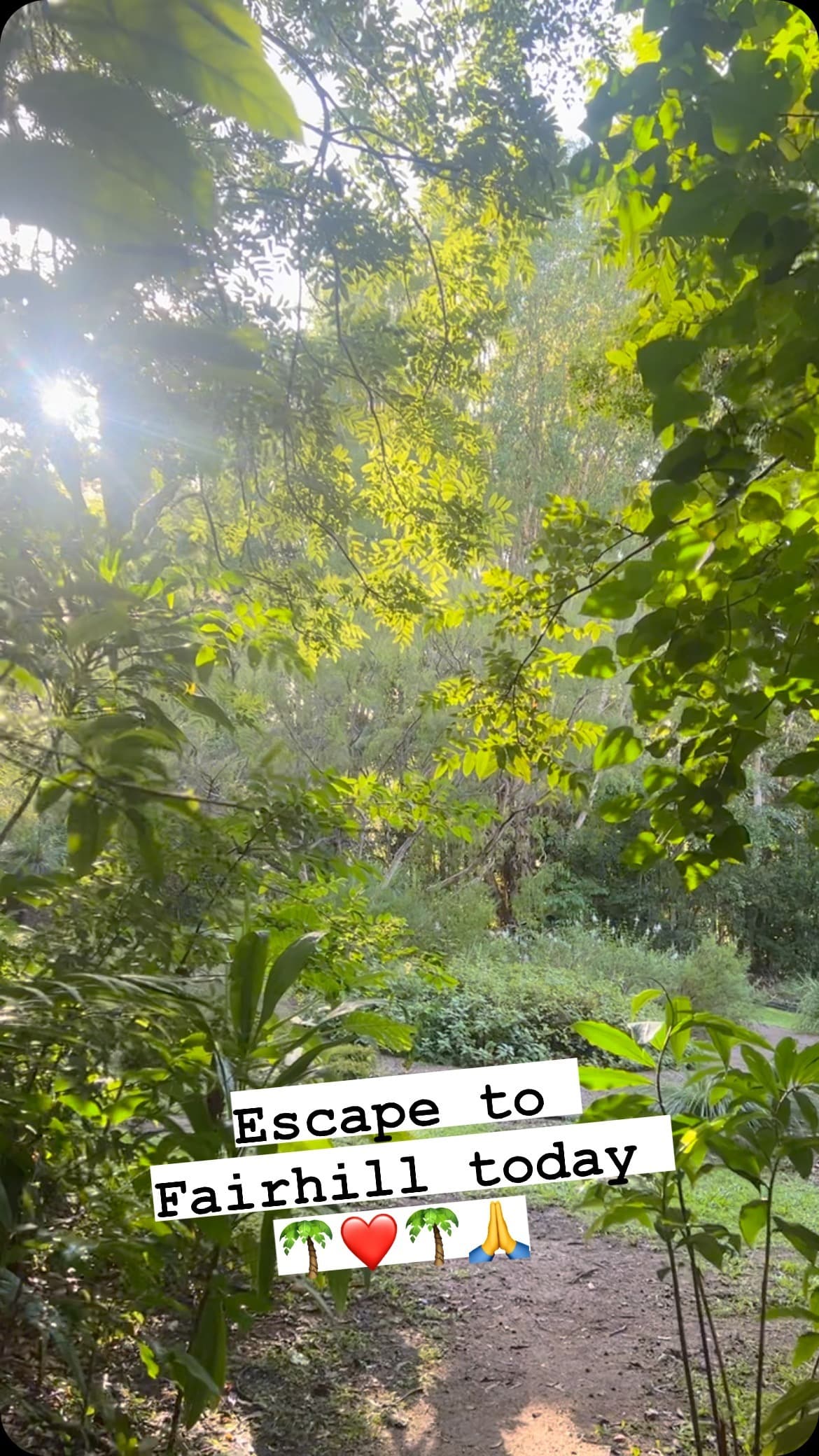 A shaded path through the Fairhill gardens