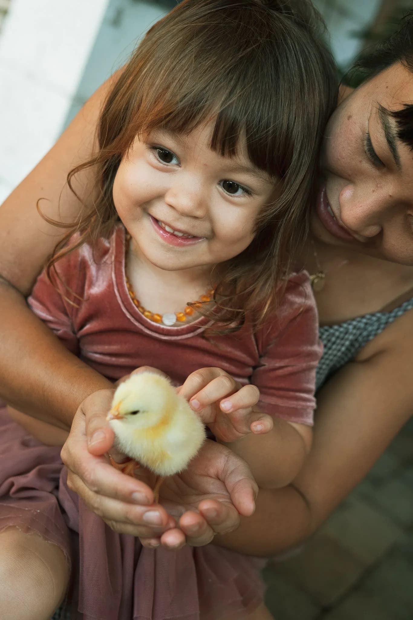 Garden Walks