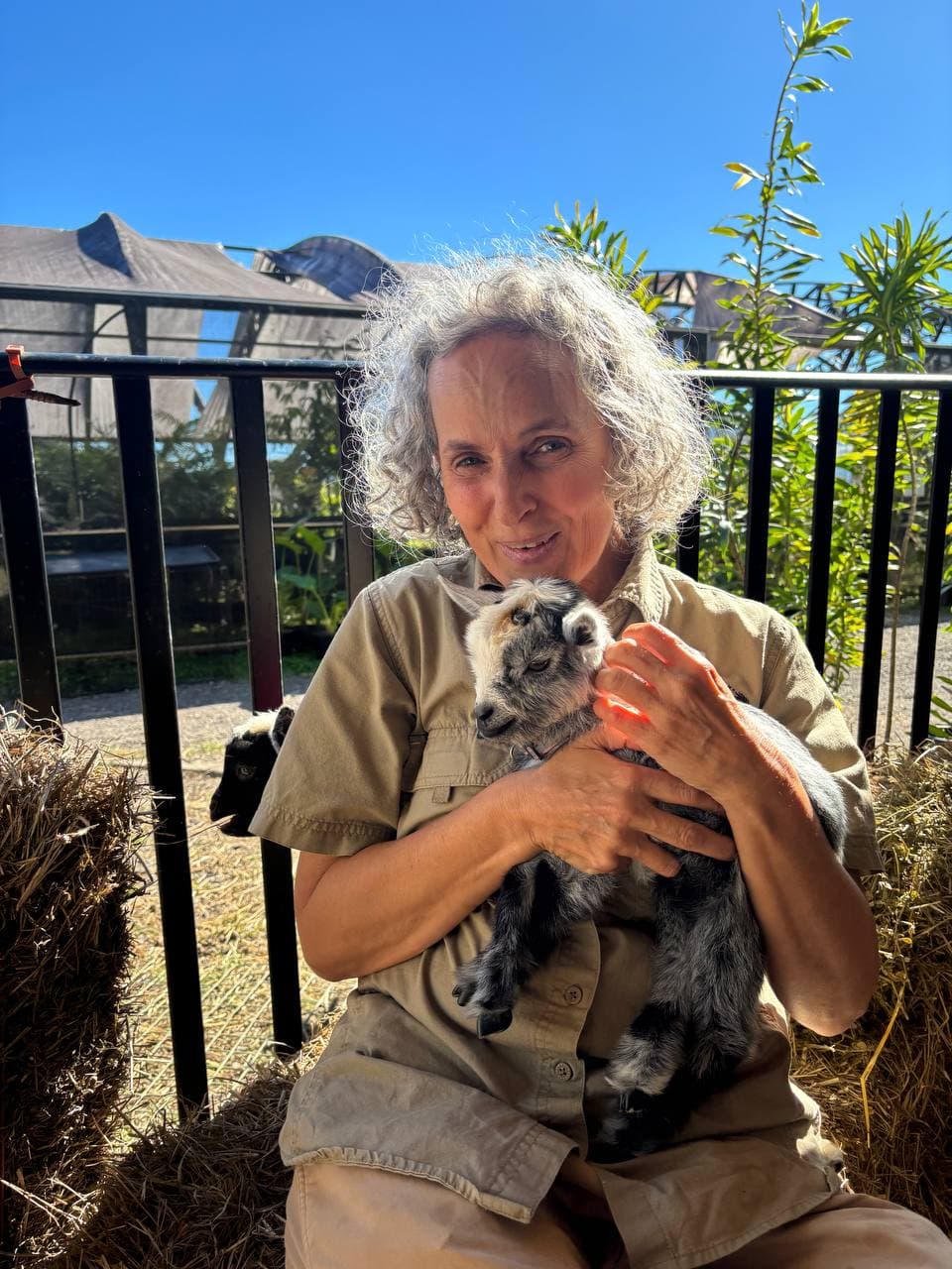 Ranger Naomi holding two of Fairhill's first miniature pygmy goat kids