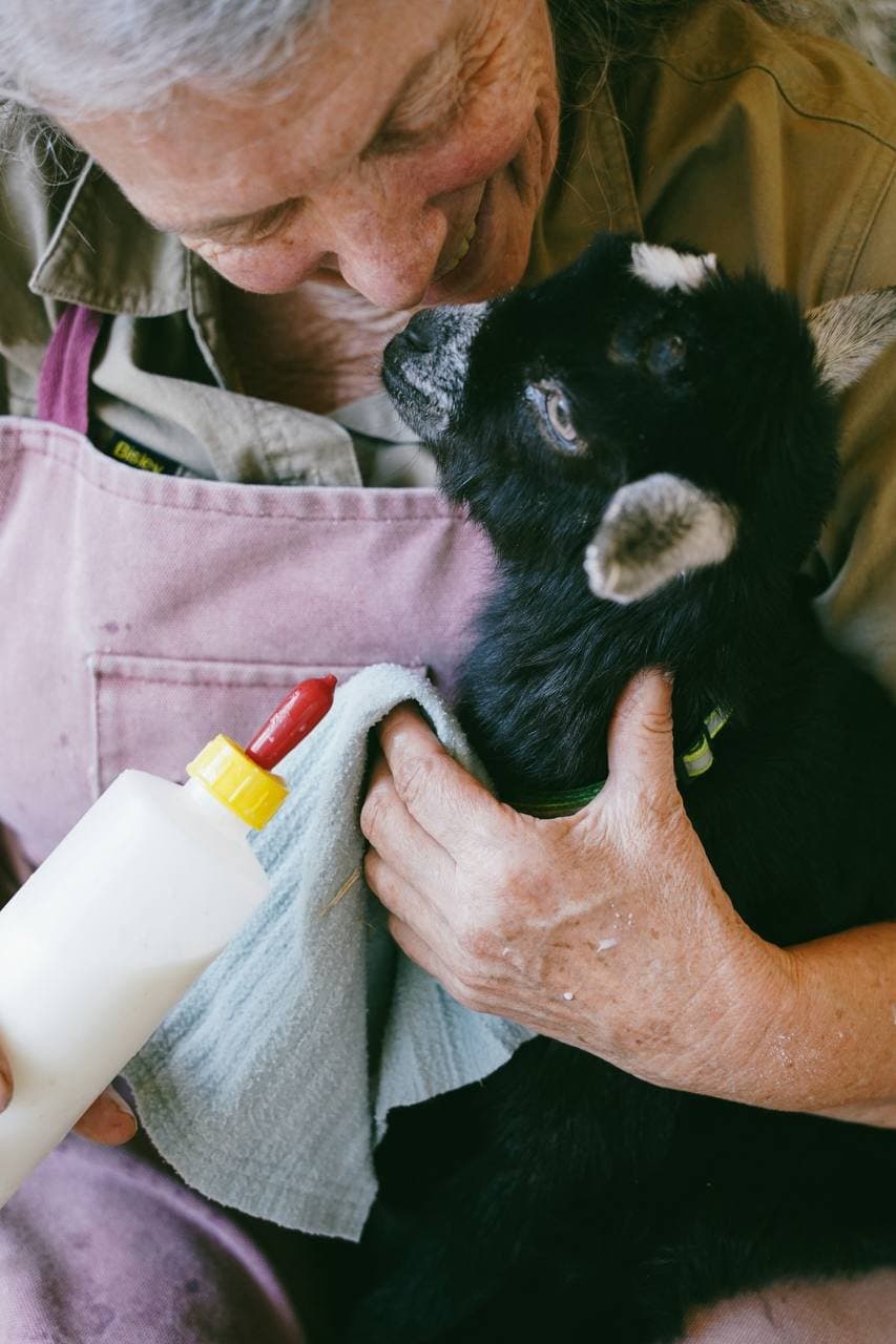 Bottle-feeding a baby goat at the Kids' Barn at Fairhill