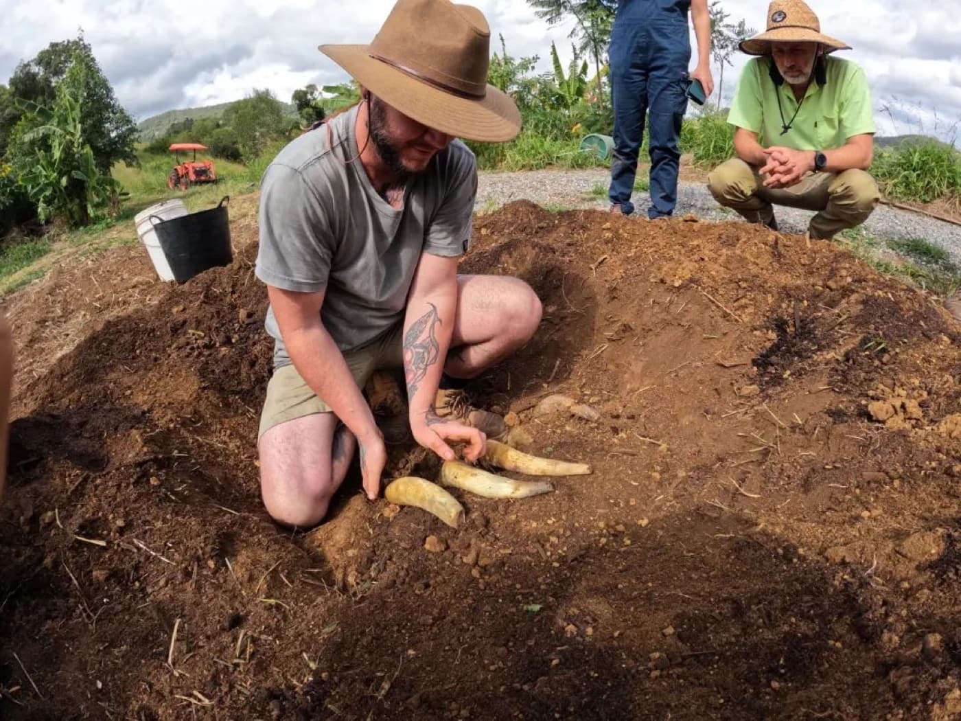 Kane unearthing biodynamic preparations from a soil mound on the farm
