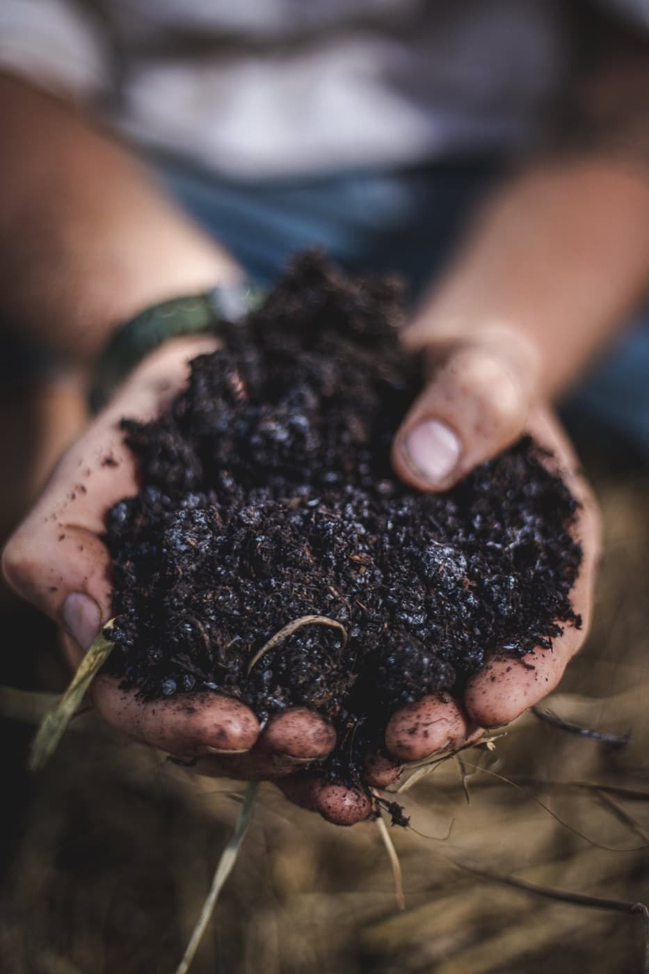 Hands holding a scoop of Red Soil Organics' dark, living biodynamic compost