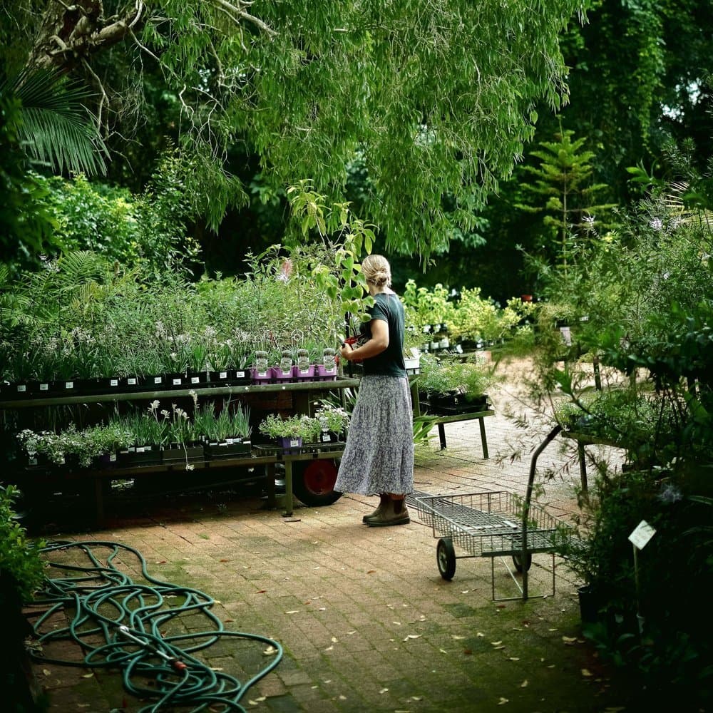 Guardians of the Green at Fairhill Gardens Nursery