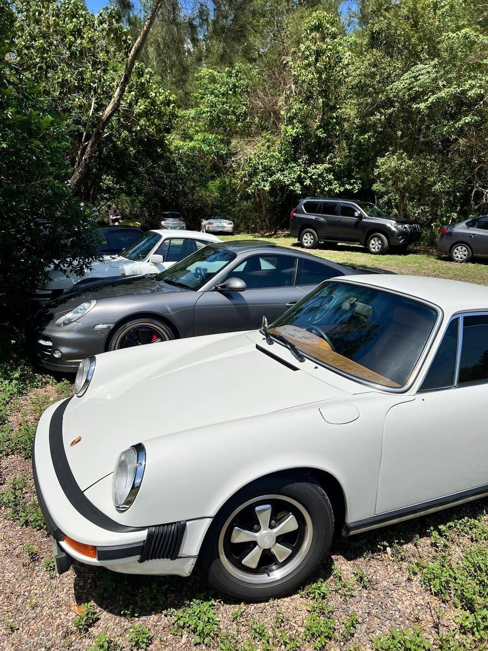 Noosa Porsche Connection at Fairhill
