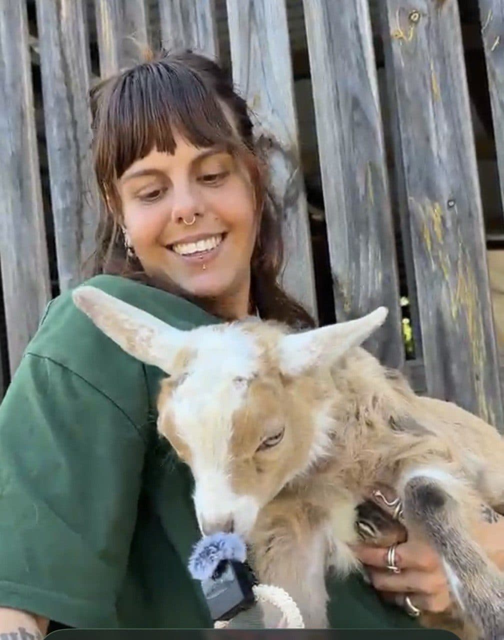 A Fairhill Ranger cuddling a goat kid at the Animal Farmyard, Ninderry