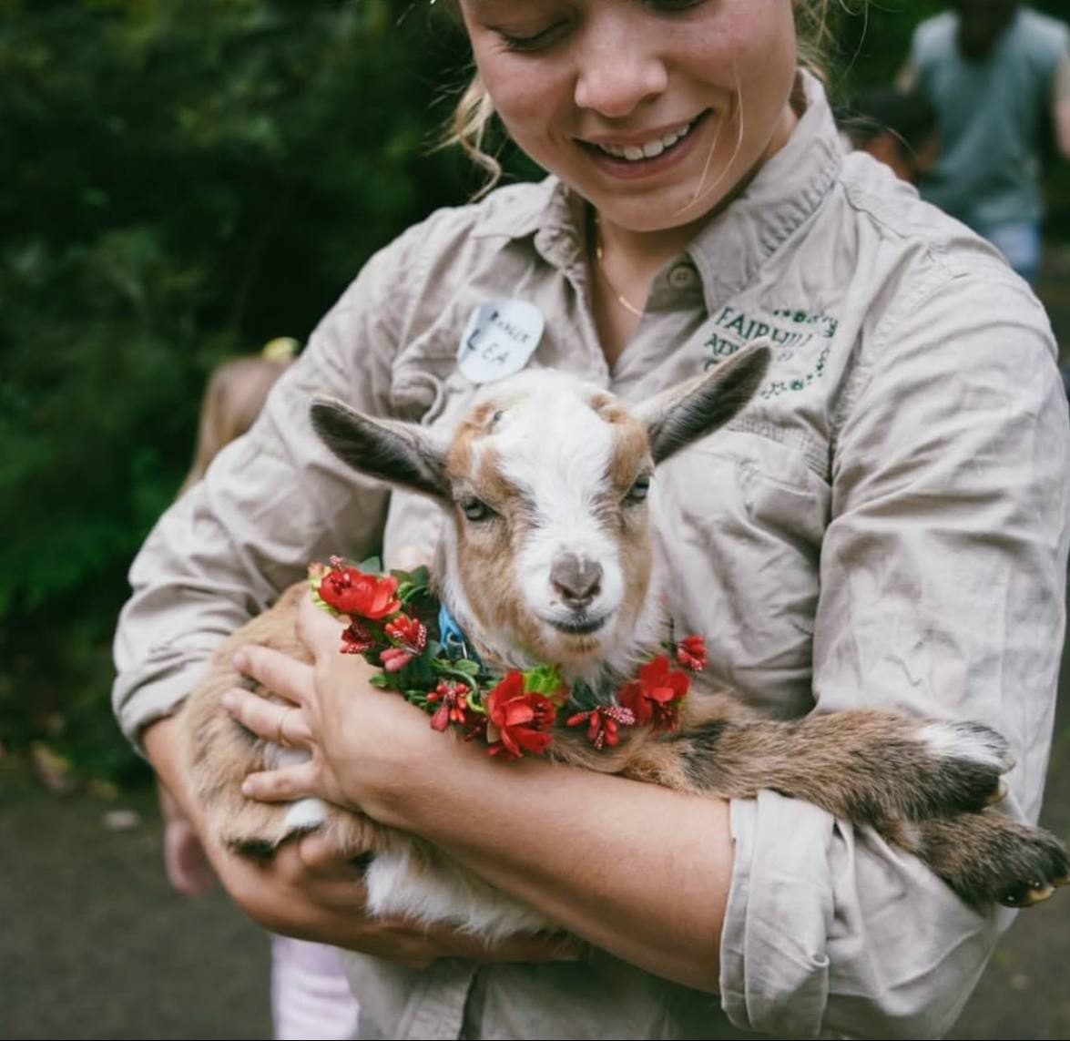 A Fairhill Ranger cuddling a goat kid wearing a flower collar at the Animal Farmyard