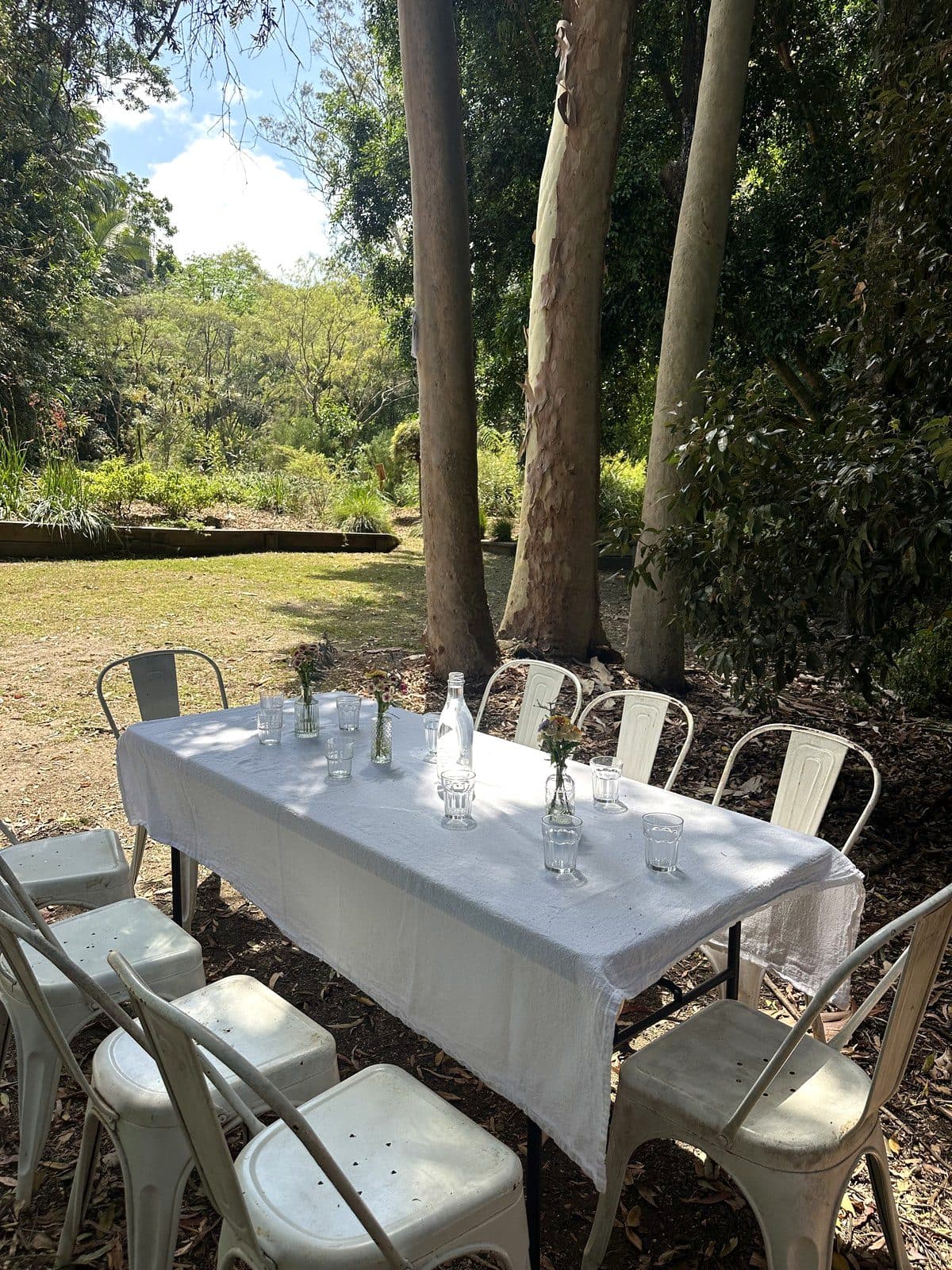 Dappled light on a dressed long table beneath towering gum trees at Fairhill