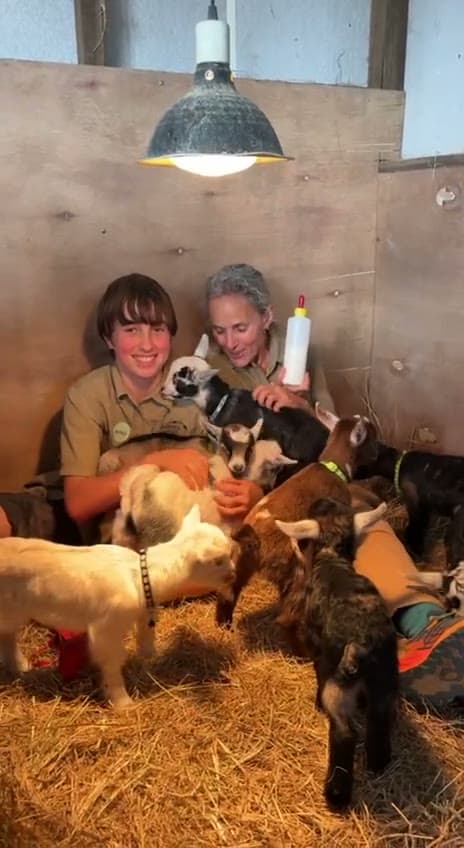 Ranger Naomi and Assistant Ranger Jono with the ten new goat kids at Fairhill